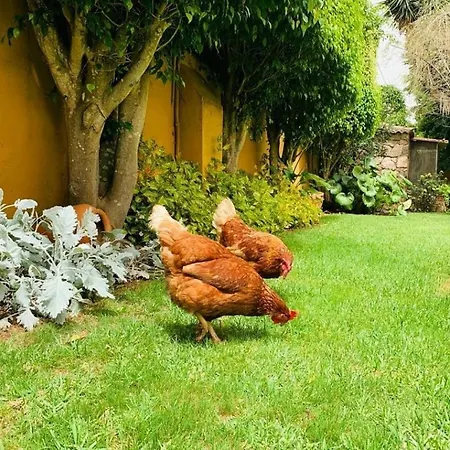 בית נופש La Chimenea טקורונטה