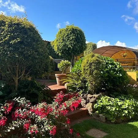 La Chimenea Vakantiehuis Tacoronte