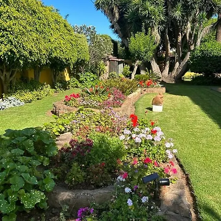 Hébergement de vacances La Chimenea *