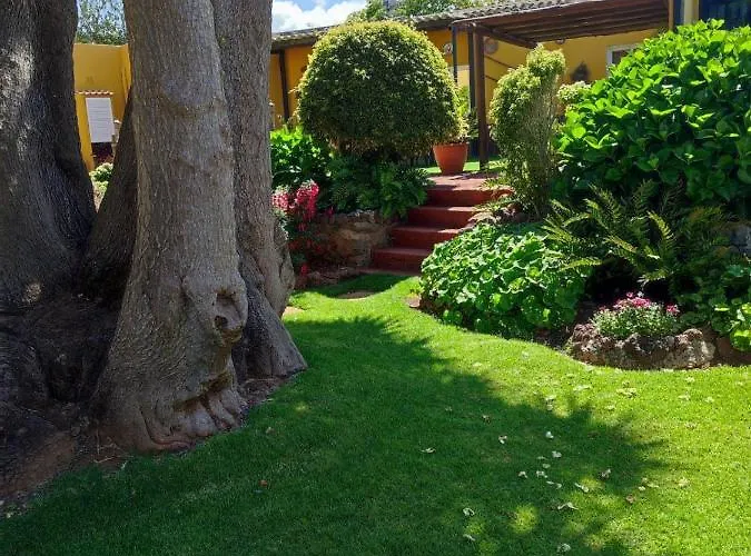 La Chimenea * Tacoronte